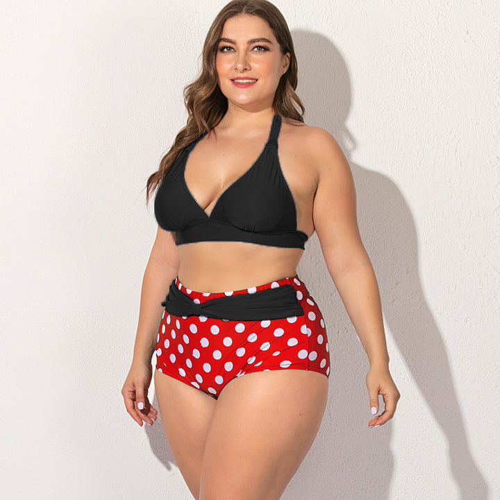 Women's Plus Size Bikini